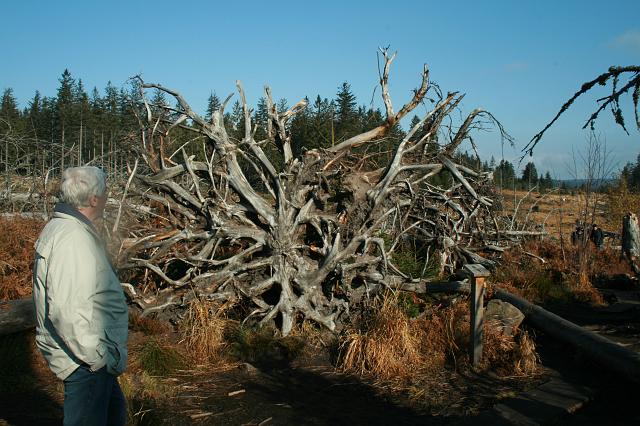 Schliffkopf 2007 Bild Nr 02